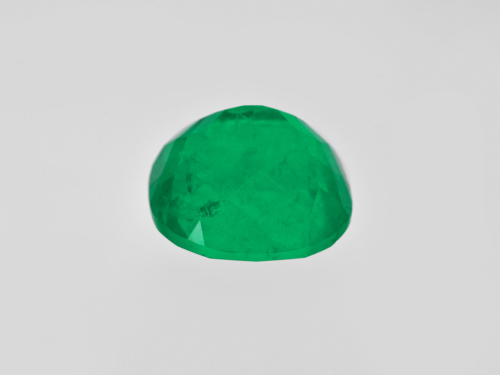 8801289-cushion-fiery-rich-vivid-green-grs-colombia-natural-emerald-13.95-ct