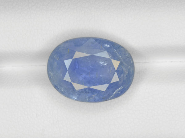 Bucep Supper Blue Oval ＋ sanggau type 1 Amazon.com: BLANCO 238483 Folding Grid as a Drainer for the