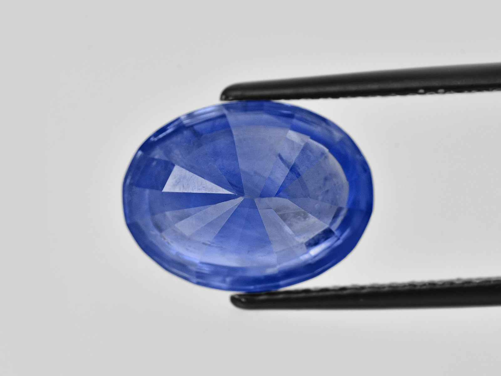8801897-oval-velvety-cornflower-blue-gia-madagascar-natural-blue-sapphire-10.54-ct