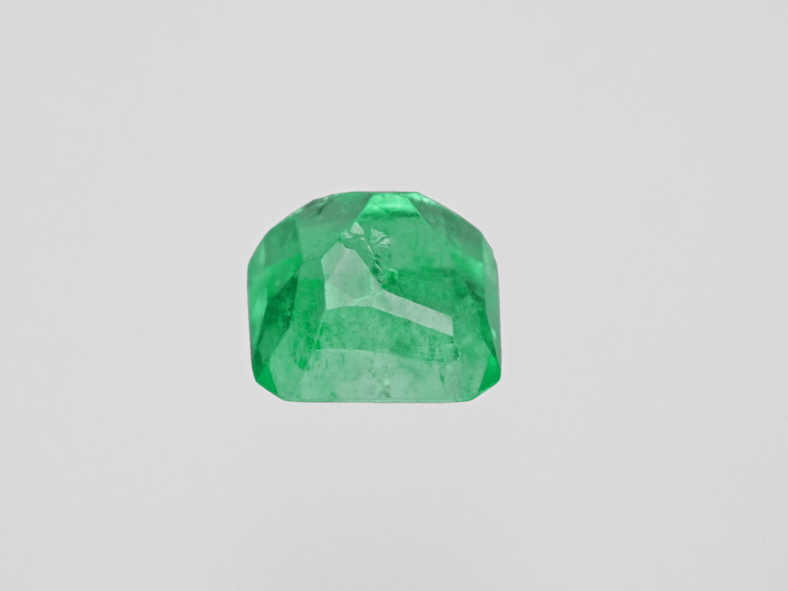 8801305-octagonal-lustrous-green-grs-colombia-natural-emerald-2.88-ct
