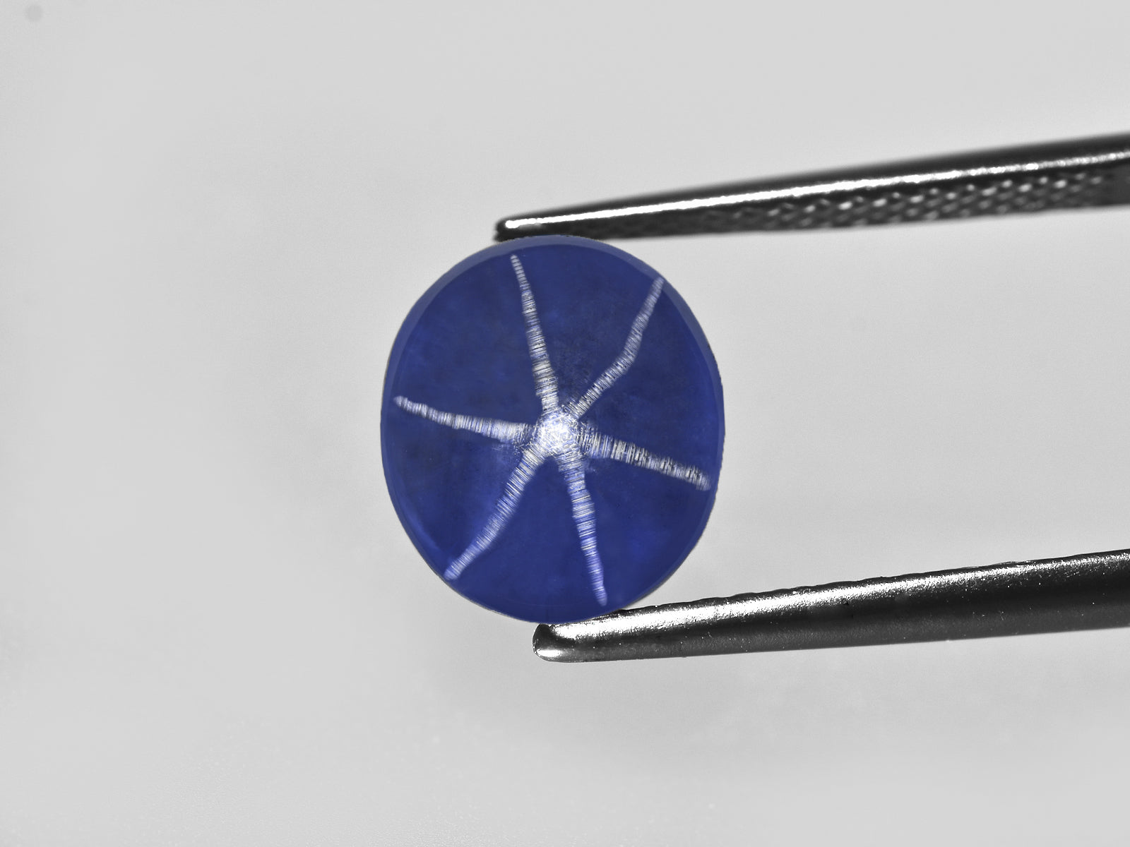 8801346-cabochon-intense-royal-blue-grs-sri-lanka-natural-blue-star-sapphire-10.21-ct