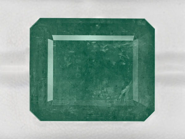 Loose Emerald - Emerald Cut 7.99 Ct. - #E3573 | The Natural