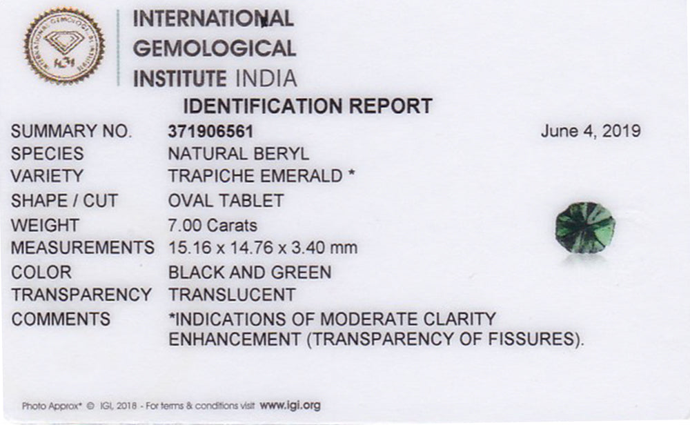 8802116-cabochon-dark-green-with-black-spokes-igi-colombia-natural-trapiche-emerald-13.45-ct