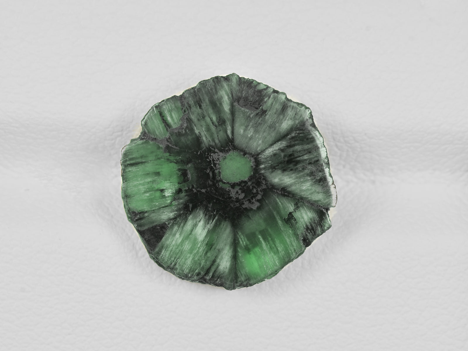 8802114-cabochon-dark-green-with-black-spokes-igi-colombia-natural-trapiche-emerald-6.45-ct