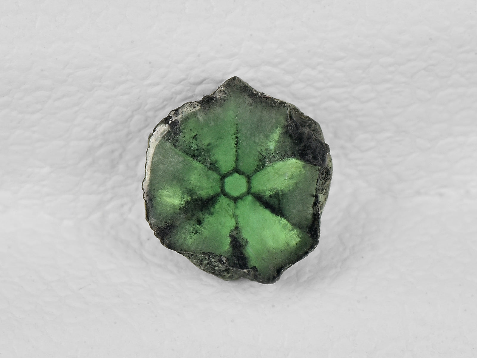 8802139-cabochon-green-with-black-spokes-igi-colombia-natural-trapiche-emerald-0.58-ct