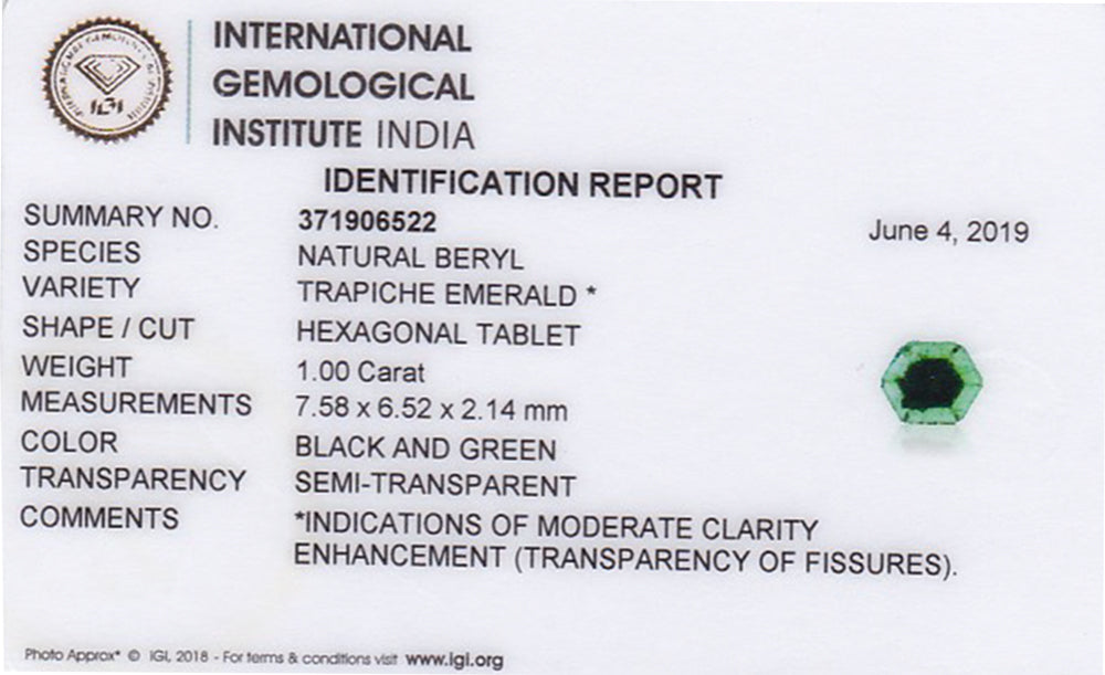 8802153-cabochon-intense-green-with-black-spokes-igi-colombia-natural-trapiche-emerald-1.00-ct