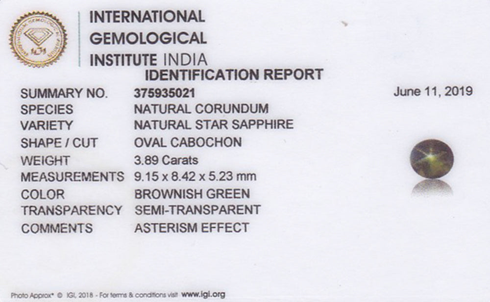 8802181-cabochon-deep-brownish-green-igi-sri-lanka-natural-fancy-star-sapphire-3.89-ct