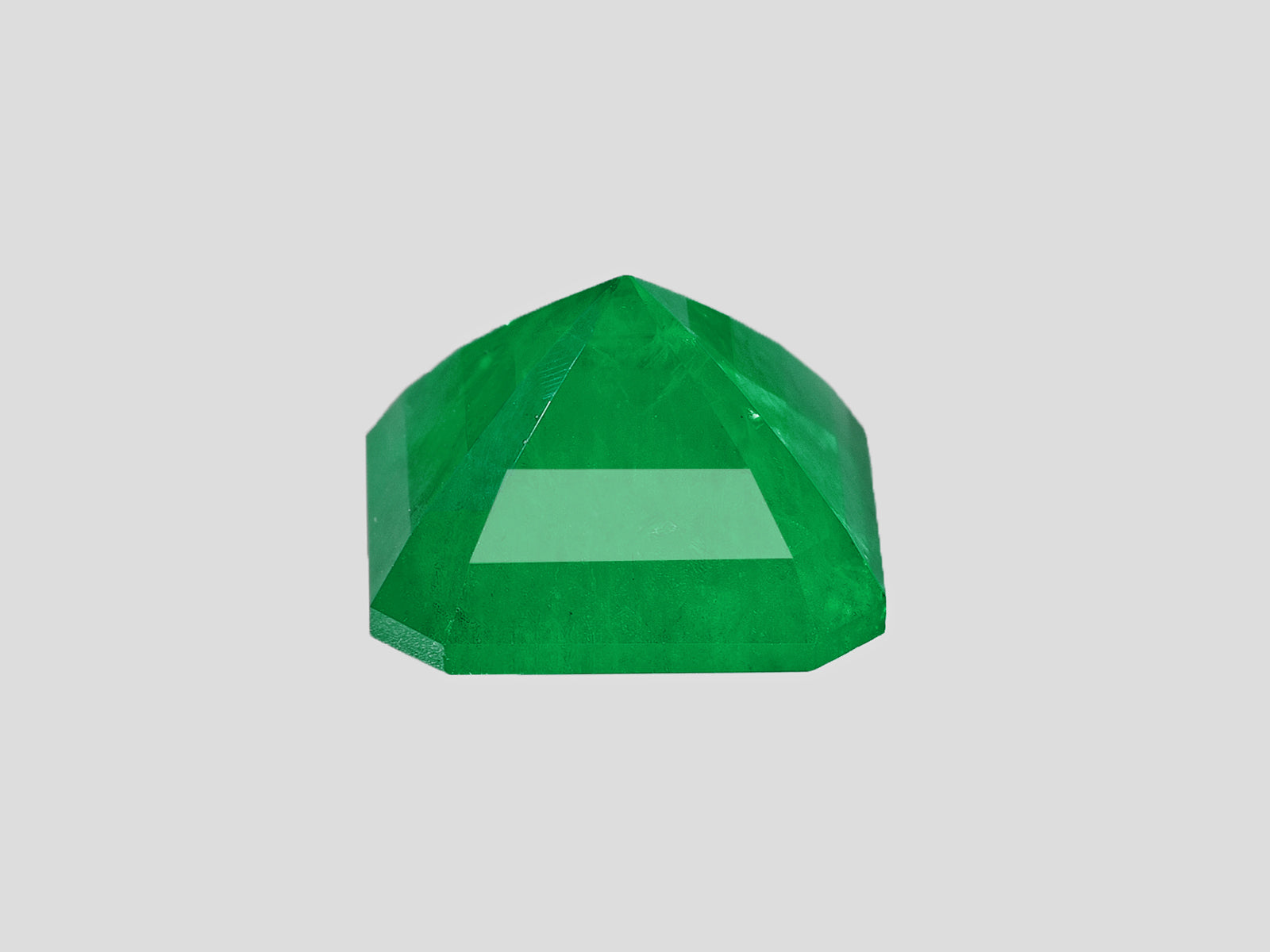 8802586-octagonal-rich-velvety-intense-green-colombia-natural-emerald-7.67-ct
