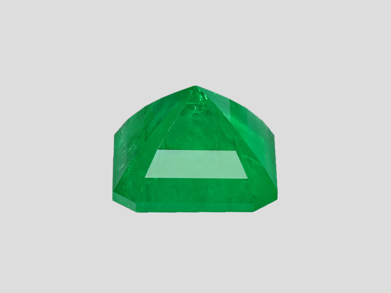 8802586-octagonal-rich-velvety-intense-green-colombia-natural-emerald-7.67-ct