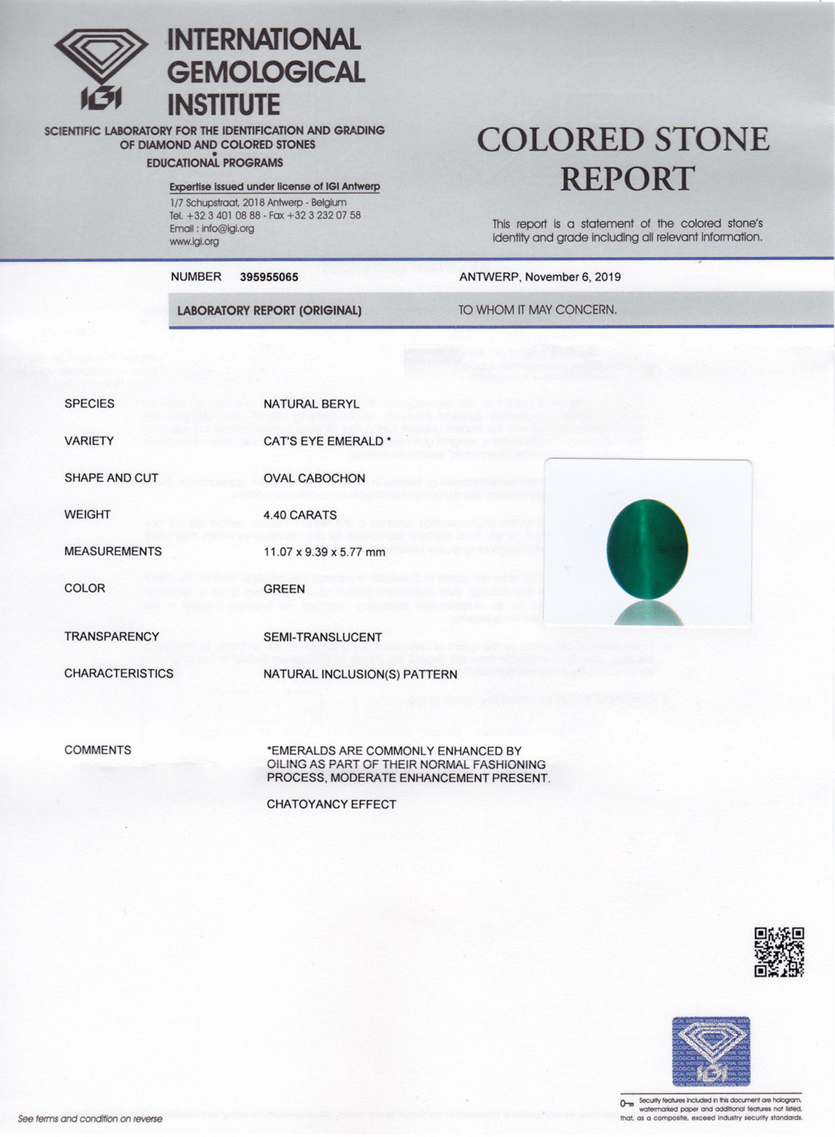 8802871-cabochon-rich-intense-green-igi-zambia-natural-cat's-eye-emerald-4.40-ct