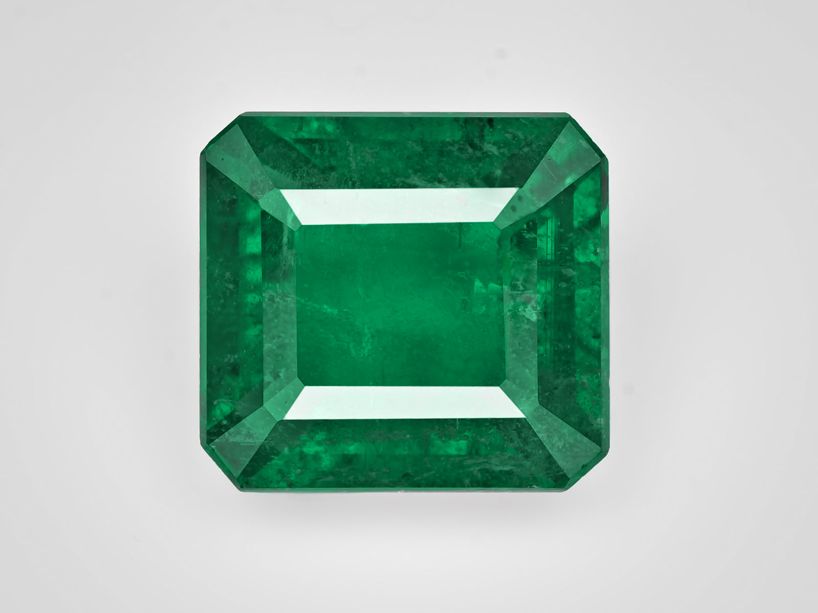 8802923-octagonal-rich-intense-green-igi-zambia-natural-emerald-8.30-ct