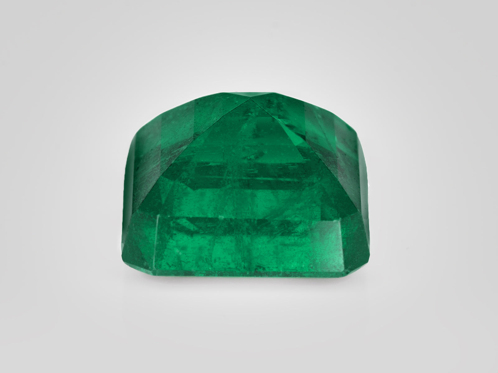 8802923-octagonal-rich-intense-green-igi-zambia-natural-emerald-8.30-ct