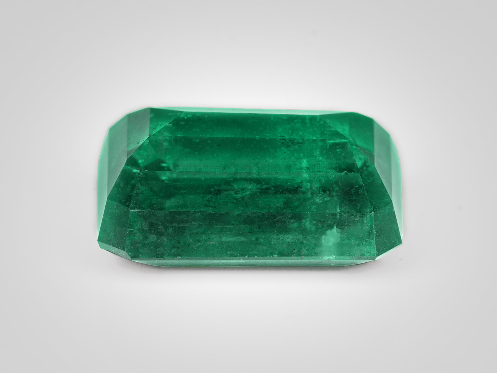 8802924-octagonal-deep-green-igi-zambia-natural-emerald-9.49-ct