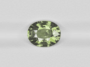 8800654-oval-olive-green-aigs-madagascar-natural-other-fancy-sapphire-2.16-ct
