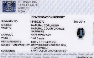 8800661-oval-greyish-green-changing-to-purplish-pink-igi-madagascar-natural-color-change-sapphire-2.07-ct