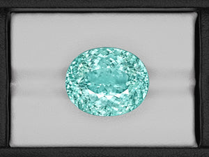 8803115-oval-fiery-neon-greenish-blue-igi-mozambique-natural-paraiba-tourmaline-22.38-ct