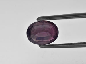 8800667-oval-deep-greyish-purple-igi-pakistan-natural-other-fancy-sapphire-2.36-ct