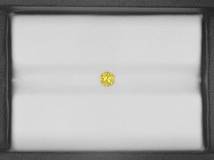 8800867-round-natural-fancy-intense-yellow-igi-south-africa-natural-fancy-color-diamond-0.22-ct