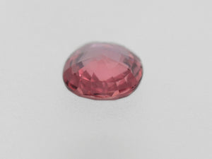 8800363-oval-orangy-pink-grs-madagascar-natural-padparadscha-1.14-ct