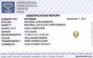 8800317-cabochon-soft-yellowish-green-igi-india-natural-chrysoberyl-cat's-eye-5.61-ct