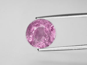 8800502-round-baby-pink-igi-burma-natural-pink-sapphire-5.65-ct