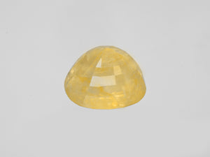 8800805-oval-lustrous-yellow-grs-burma-natural-yellow-sapphire-36.15-ct
