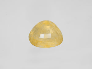 8800805-oval-lustrous-yellow-grs-burma-natural-yellow-sapphire-36.15-ct