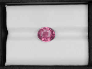 8800697-oval-pink-igi-madagascar-natural-pink-sapphire-3.42-ct