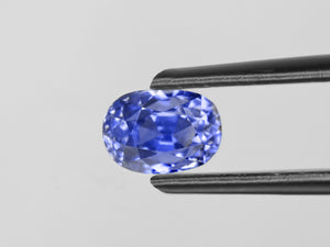 8800929-oval-lustrous-blue-gia-kashmir-natural-blue-sapphire-1.73-ct