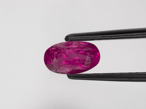 8800777-oval-lustrous-pinkish-red-igi-burma-natural-ruby-1.94-ct