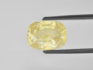 8801054-cushion-light-yellow-igi-burma-natural-yellow-sapphire-8.53-ct