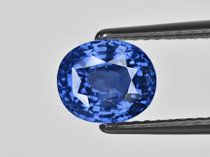 8801896-oval-lustrous-royal-blue-gia-gii-sri-lanka-natural-blue-sapphire-3.51-ct