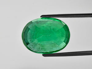 8801051-oval-lustrous-intense-green-grs-zambia-natural-emerald-24.48-ct