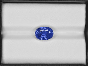 8801179-oval-velvety-cornflower-blue-gia-grs-madagascar-natural-blue-sapphire-5.46-ct