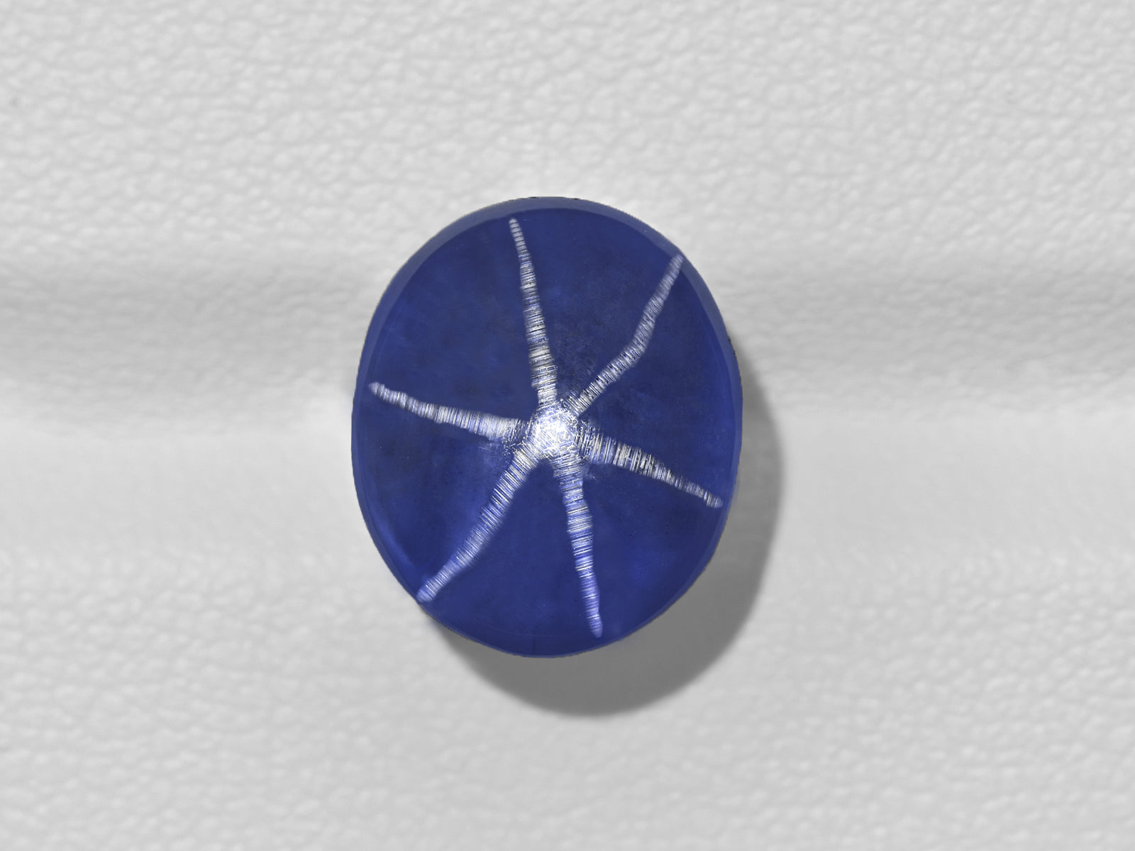 #『Southern blue 』　カノコダカラ貝 DYED Natural Blue Sapphire Chunk 7475Ct EGL Certified Rough