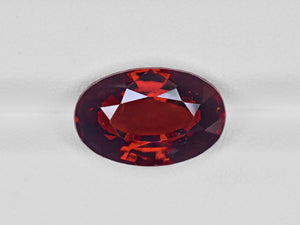 8801485-oval-deep-red-with-a-slight-brownish-hue-igi-sri-lanka-natural-hessonite-garnet-7.69-ct