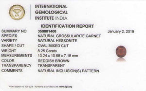 8801487-oval-dark-brownish-red-igi-sri-lanka-natural-hessonite-garnet-8.25-ct