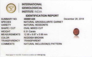 8801499-oval-brownish-red-igi-sri-lanka-natural-hessonite-garnet-6.31-ct