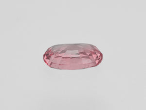 8801673-oval-soft-orangy-pink-gia-madagascar-natural-padparadscha-1.95-ct