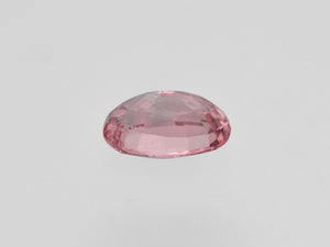 8801673-oval-soft-orangy-pink-gia-madagascar-natural-padparadscha-1.95-ct