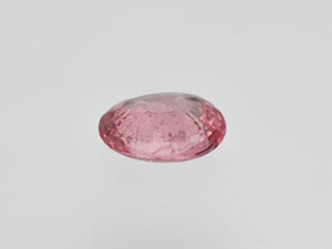 8801674-oval-orangy-pink-gia-madagascar-natural-padparadscha-1.95-ct
