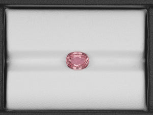 8801676-oval-orangy-pink-gia-madagascar-natural-padparadscha-1.44-ct