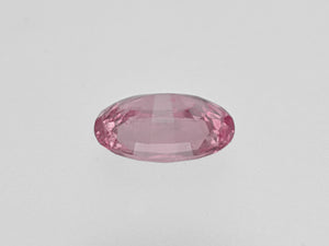 8801678-oval-lustrous-orangy-pink-gia-madagascar-natural-padparadscha-1.38-ct
