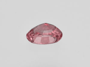 8801679-oval-lustrous-orangish-pink-gia-madagascar-natural-padparadscha-1.35-ct