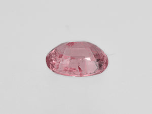 8801682-oval-lustrous-orangy-pink-gia-madagascar-natural-padparadscha-1.21-ct
