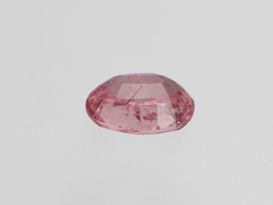 8801682-oval-lustrous-orangy-pink-gia-madagascar-natural-padparadscha-1.21-ct