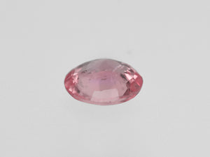 8801685-oval-soft-orangy-pink-gia-madagascar-natural-padparadscha-1.09-ct