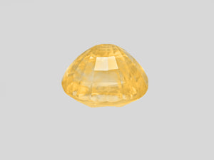 8802072-oval-lustrous-intense-yellow-grs-sri-lanka-natural-yellow-sapphire-12.12-ct