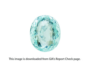 8802224-oval-lively-neon-greenish-blue-gia-mozambique-natural-paraiba-tourmaline-12.28-ct