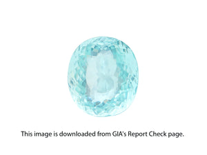 8802225-oval-lively-neon-greenish-blue-gia-mozambique-natural-paraiba-tourmaline-15.79-ct